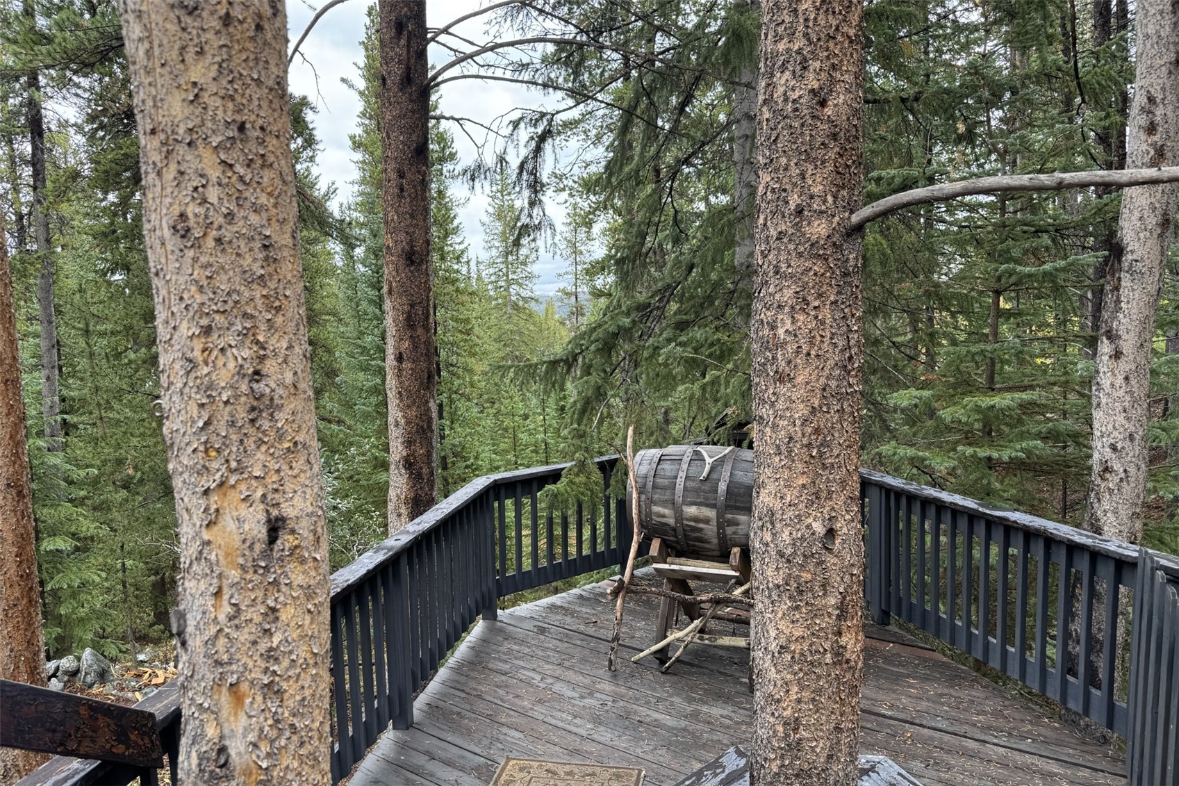 601 Spruce Creek Road Breckenridge CO 80424