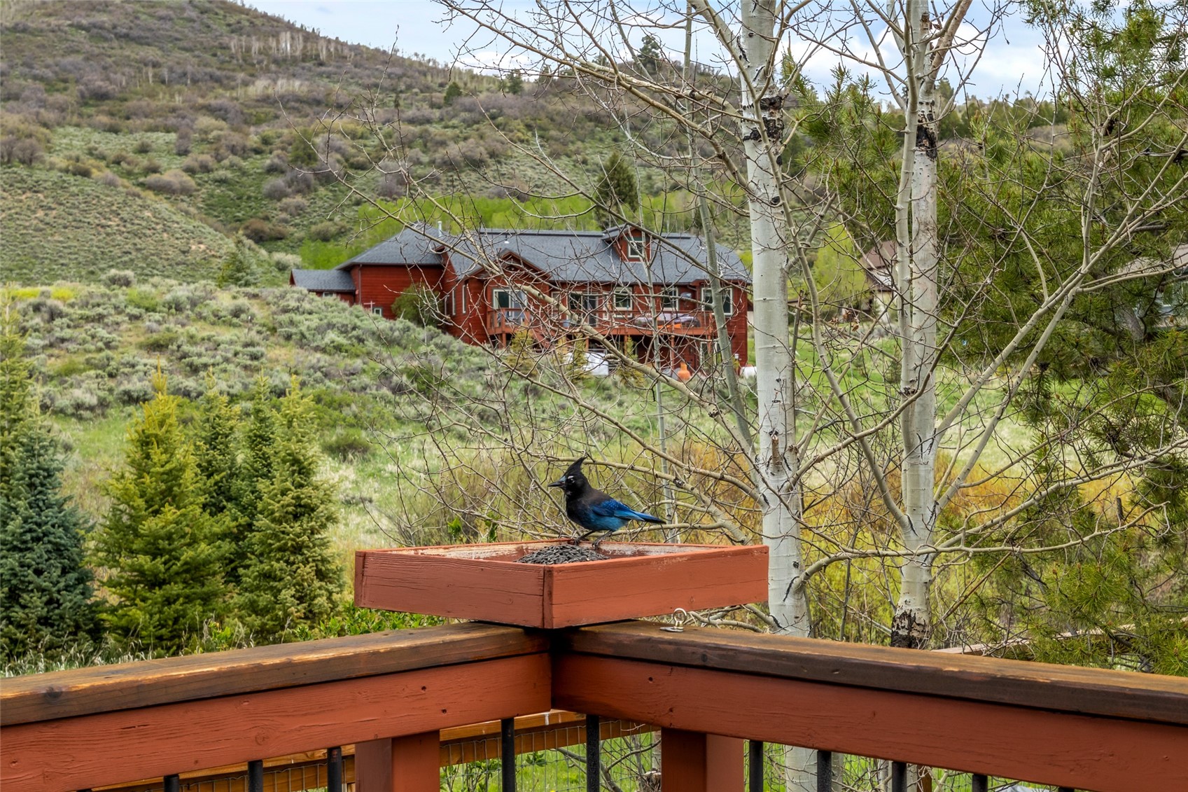 22576 Cheyenne Trail Oak Creek CO 80467