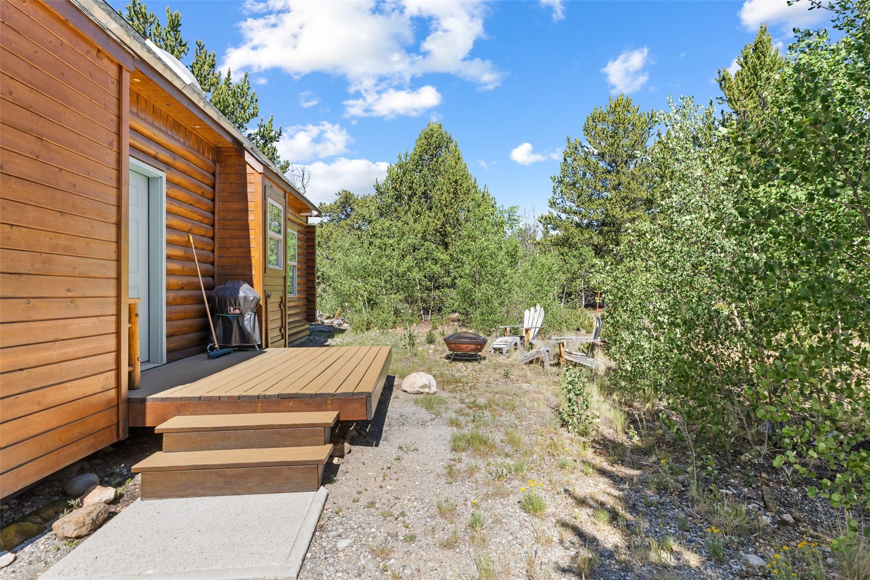167 Stellar Jay Way Fairplay CO 80440