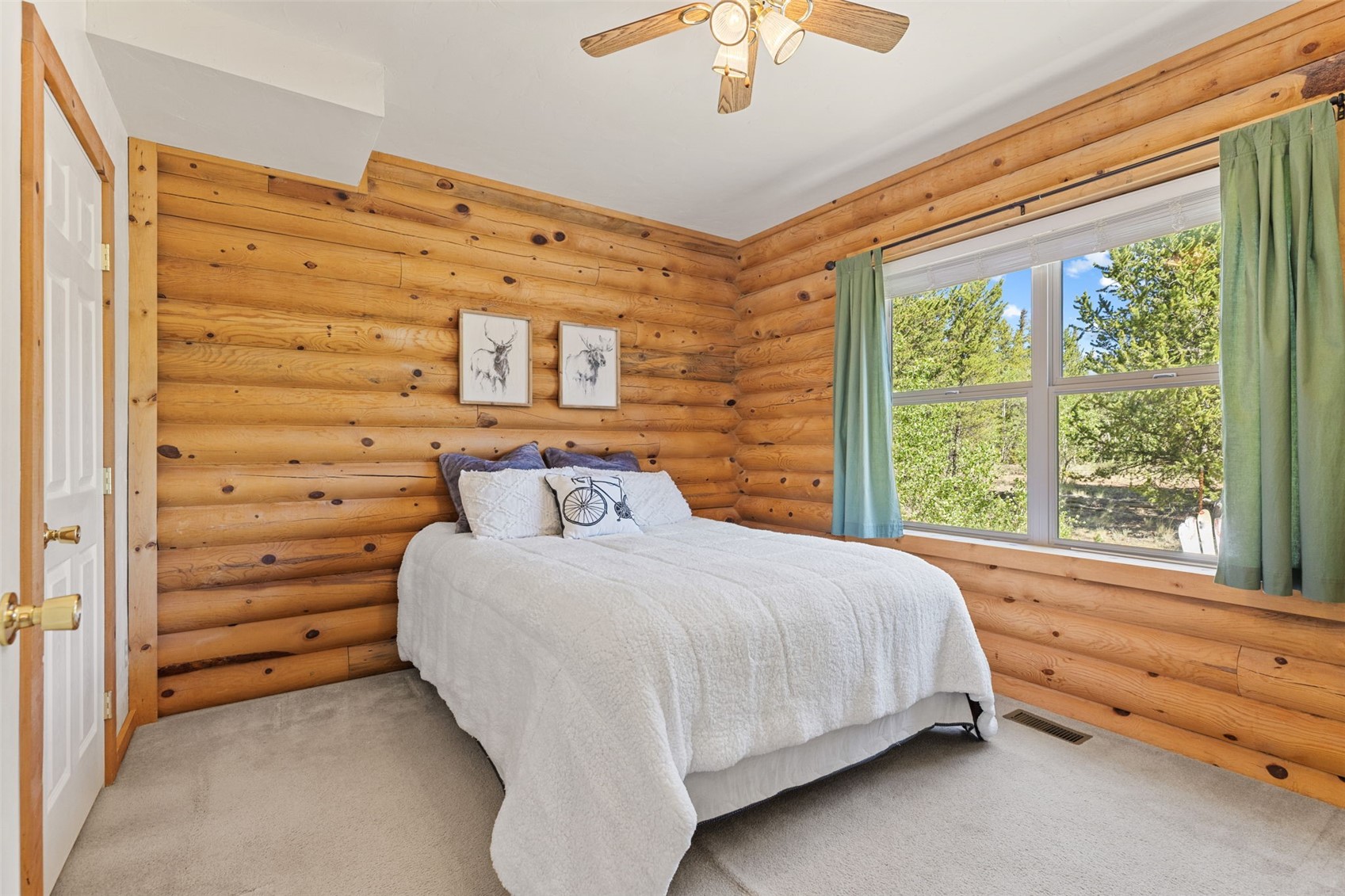 167 Stellar Jay Way Fairplay CO 80440