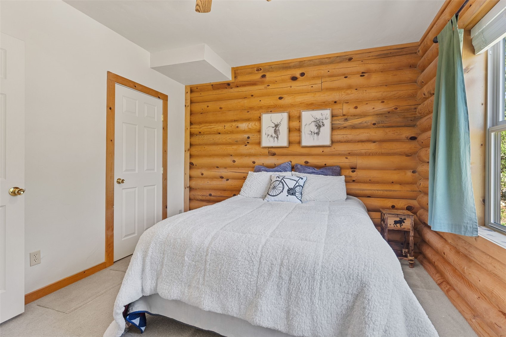 167 Stellar Jay Way Fairplay CO 80440