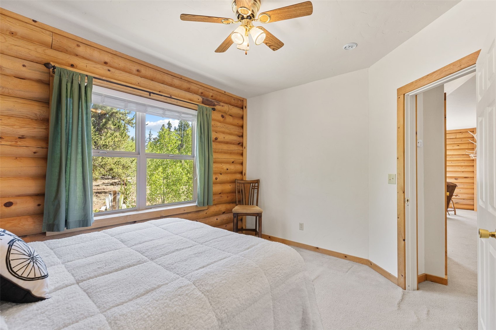 167 Stellar Jay Way Fairplay CO 80440