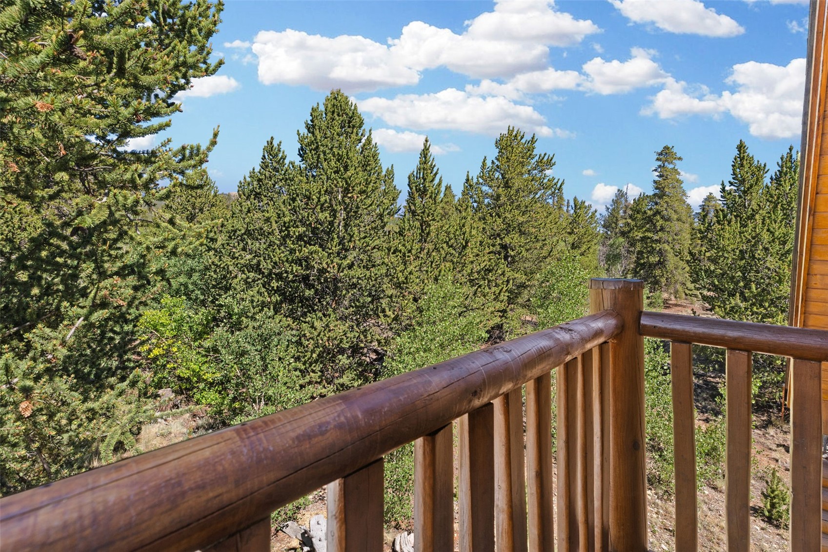 167 Stellar Jay Way Fairplay CO 80440