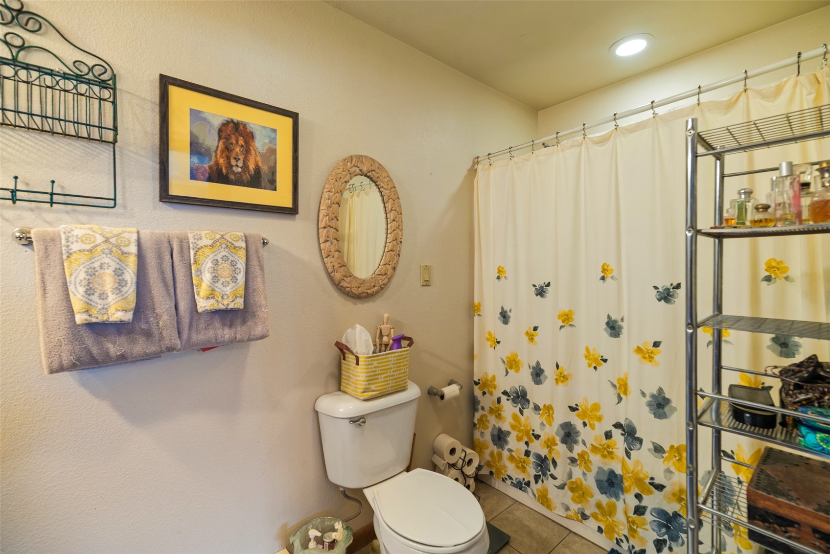 740 Castello Avenue Fairplay CO 80440