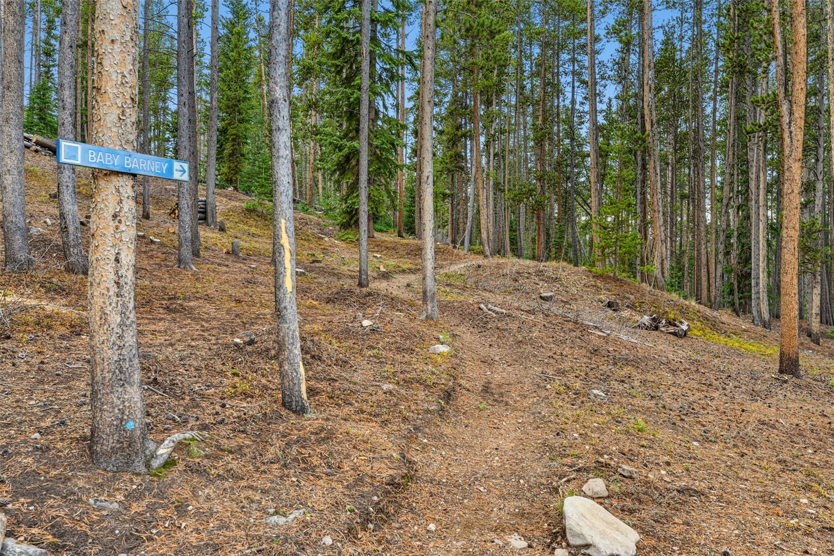 37 Apex Circle Breckenridge CO 80424