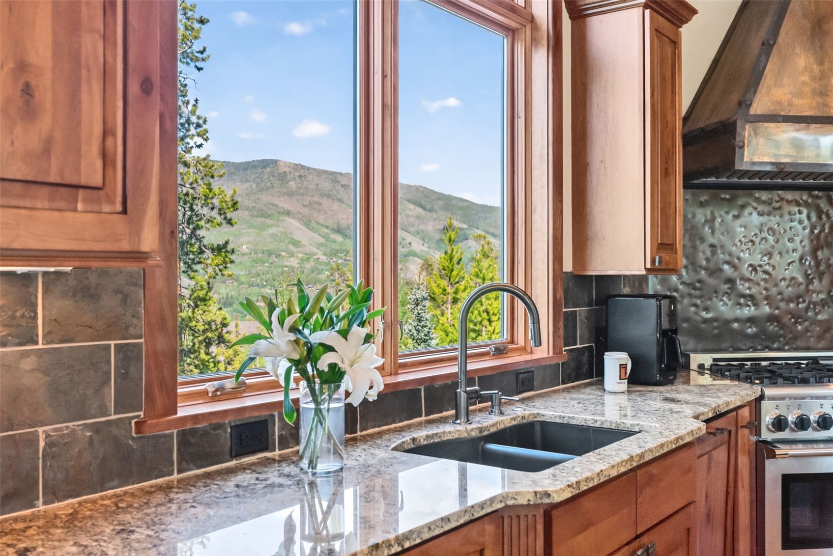 120 Highline Crossing Silverthorne CO 80498
