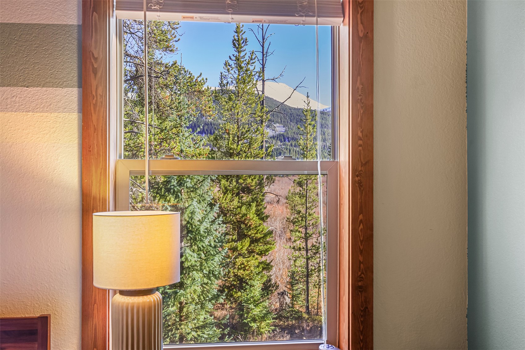 80 Blue Rock Drive Breckenridge CO 80424