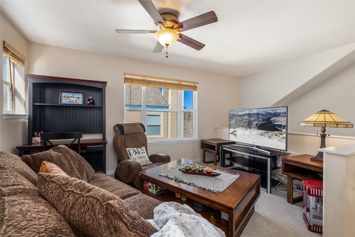 57 Audrey Circle Breckenridge CO 80424