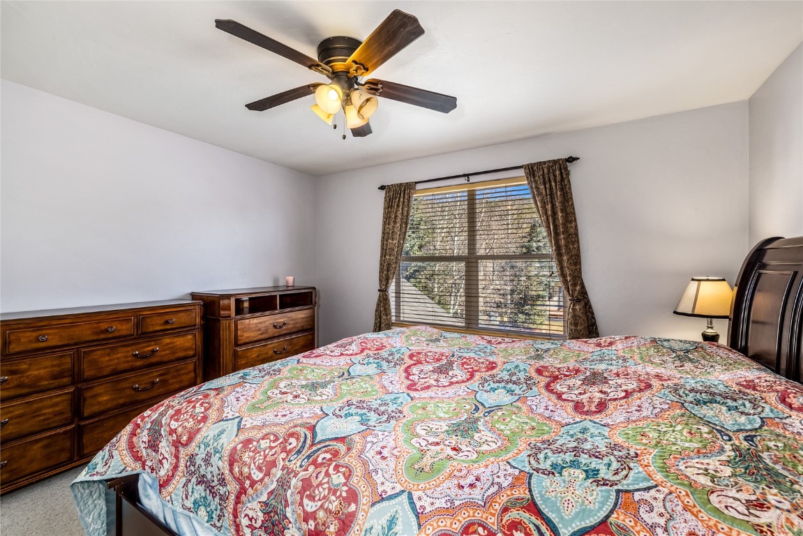 57 Audrey Circle Breckenridge CO 80424