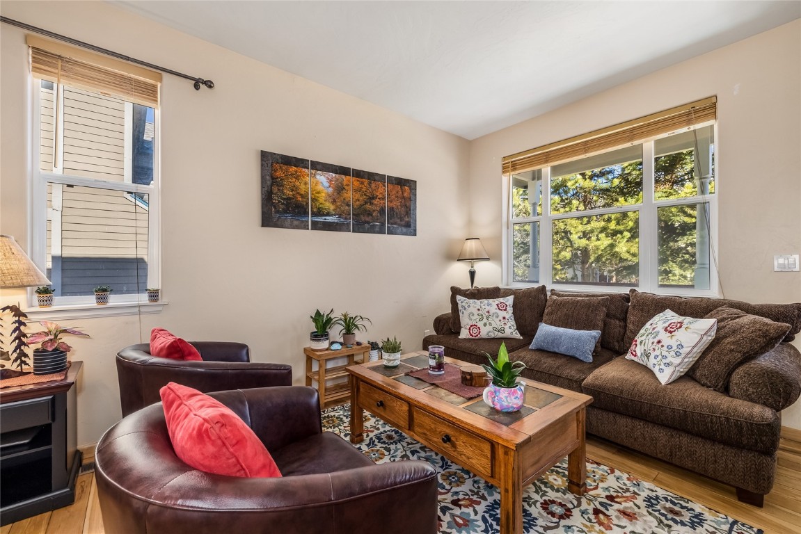 57 Audrey Circle Breckenridge CO 80424