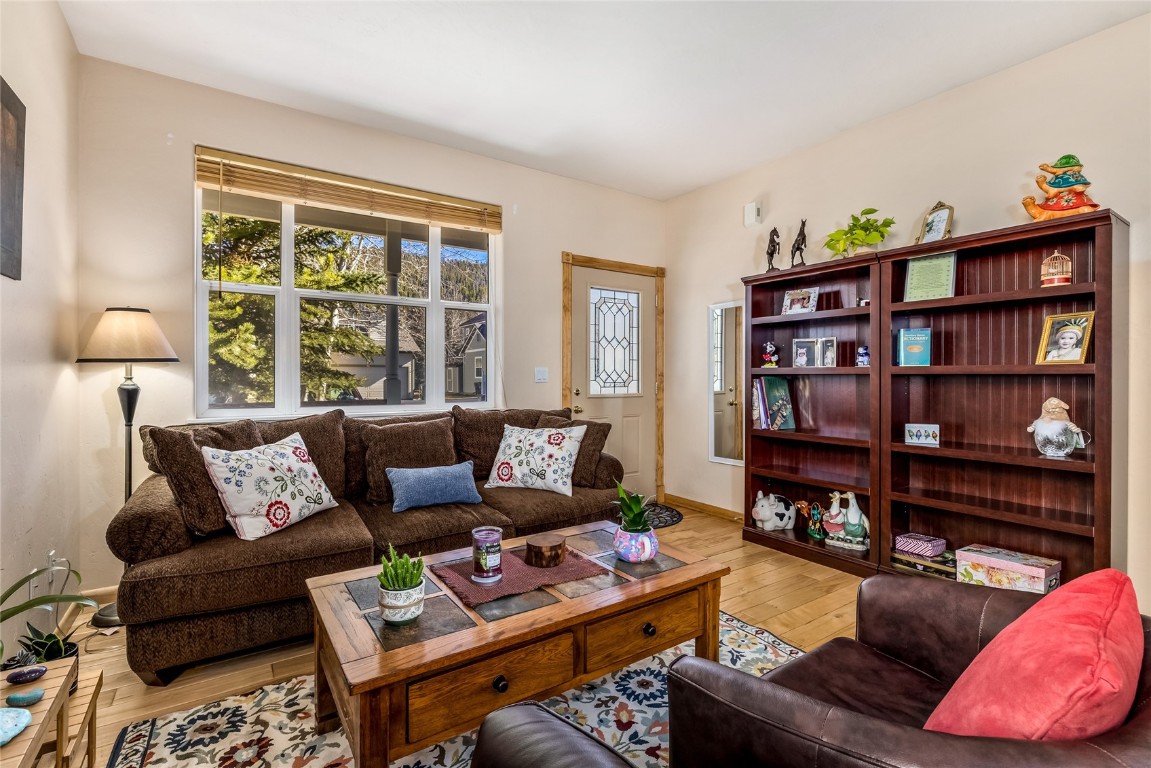 57 Audrey Circle Breckenridge CO 80424