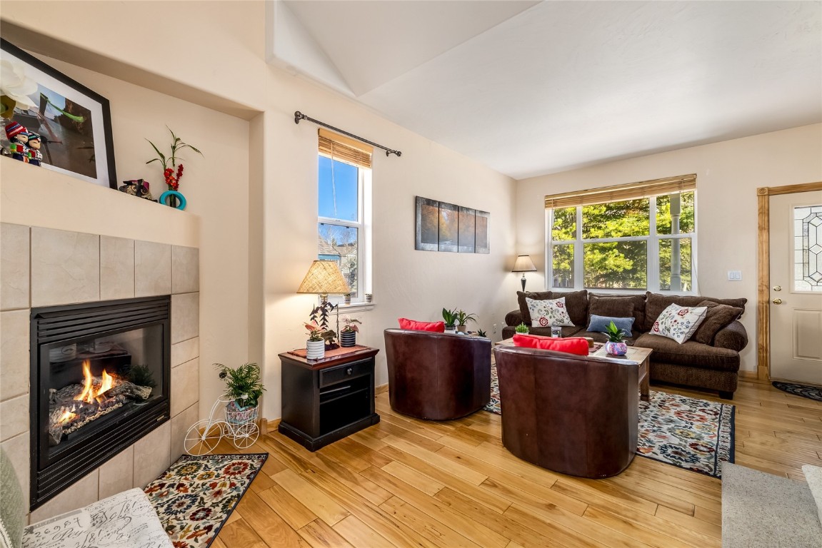 57 Audrey Circle Breckenridge CO 80424