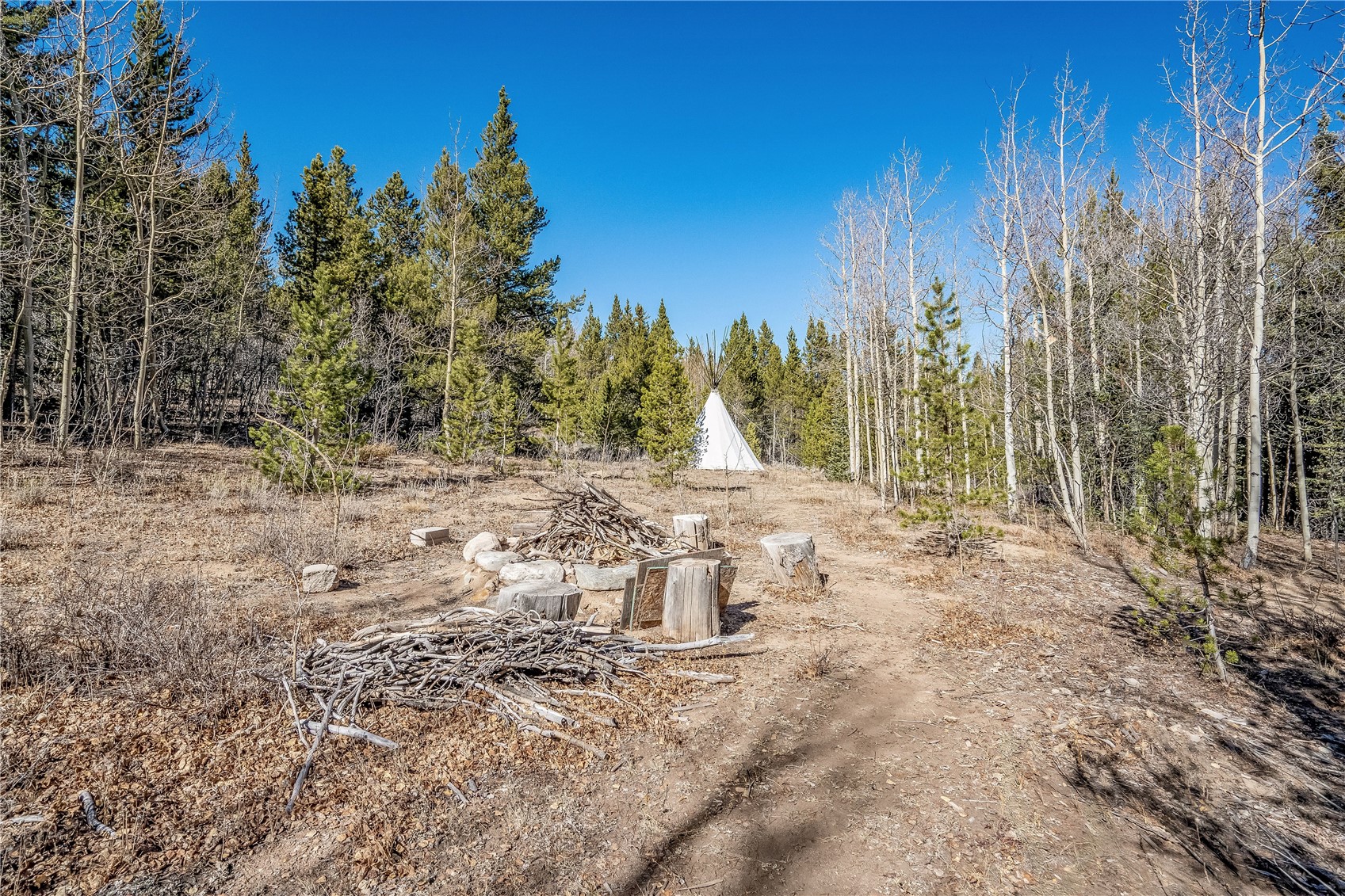 495 Edgewood Road Alma CO 80420