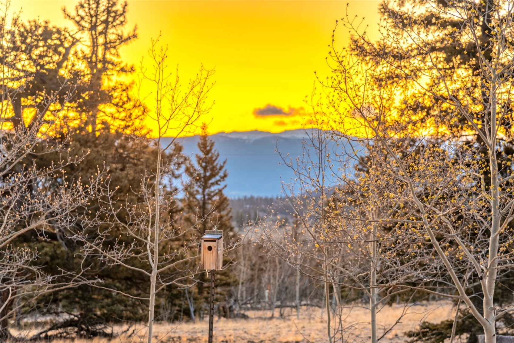 48 Teton Trail Como CO 80432