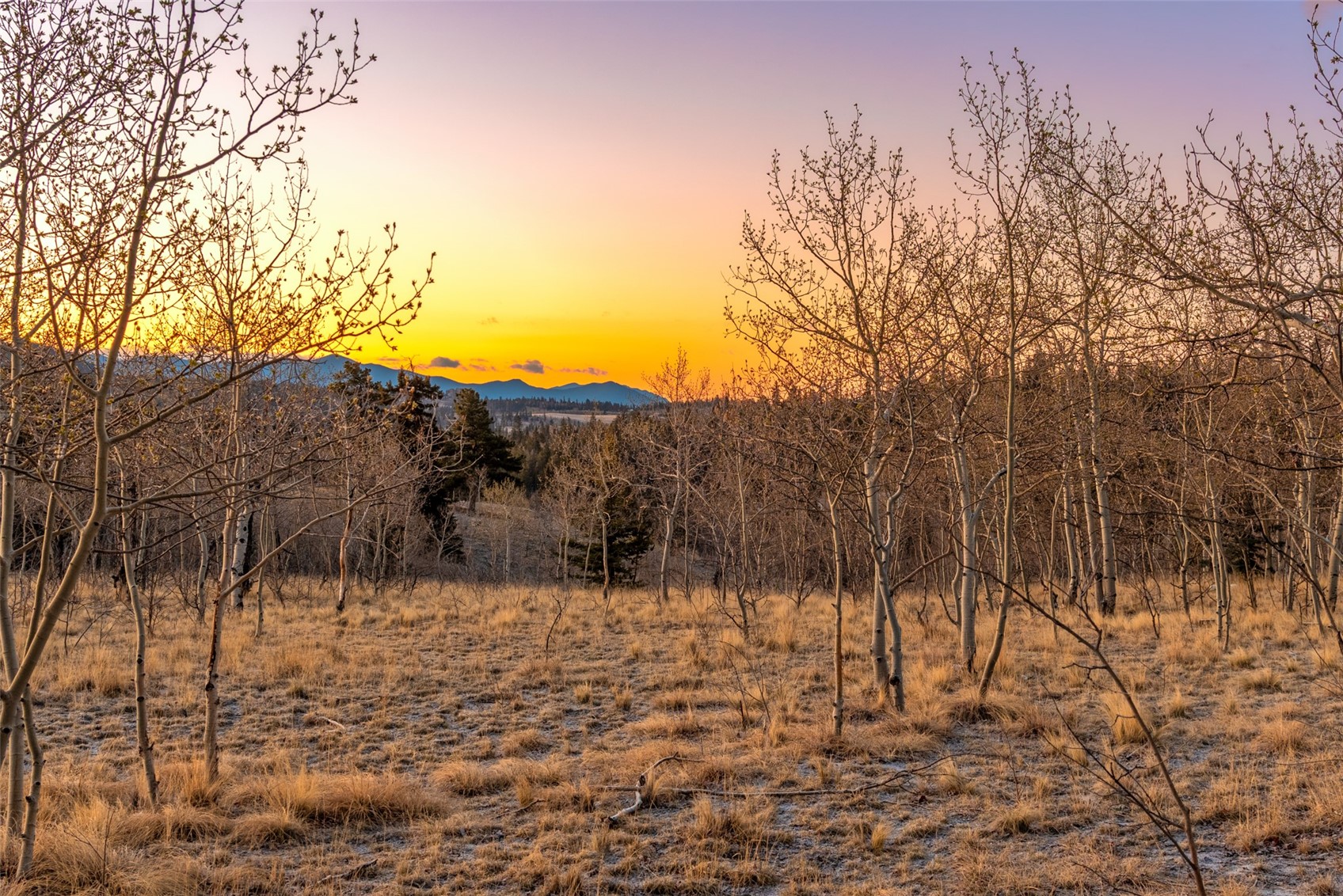 48 Teton Trail Como CO 80432