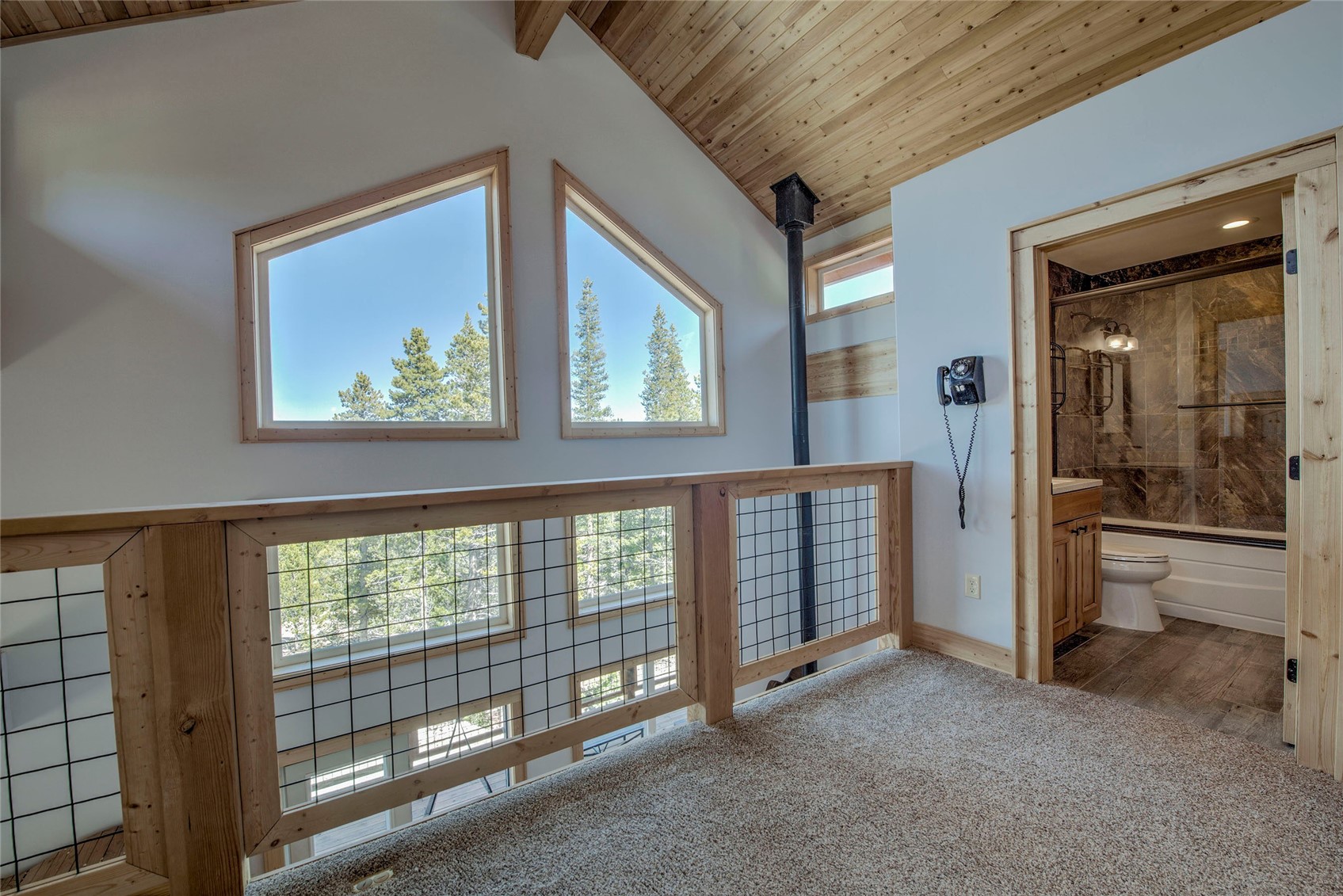 258 Gold Trail Cutoff Fairplay CO 80440