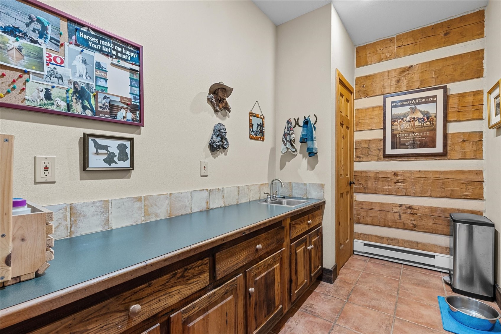 59205 Button Willow Drive Clark CO 80428