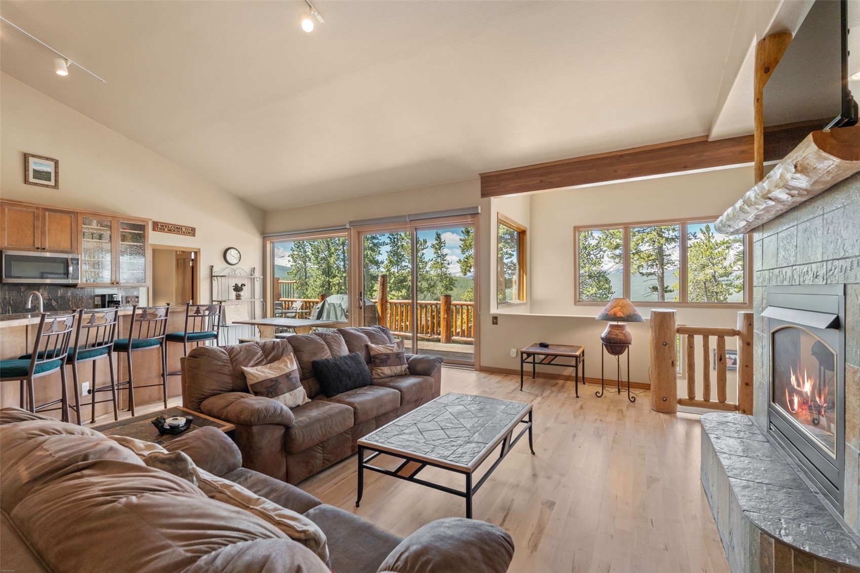 92 Emmett Lode Road Breckenridge CO 80424