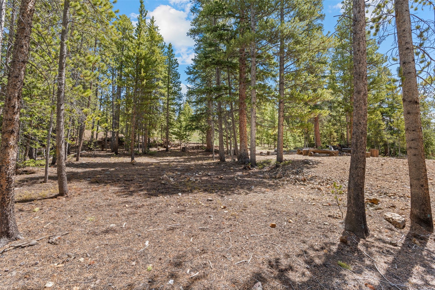 92 Emmett Lode Road Breckenridge CO 80424