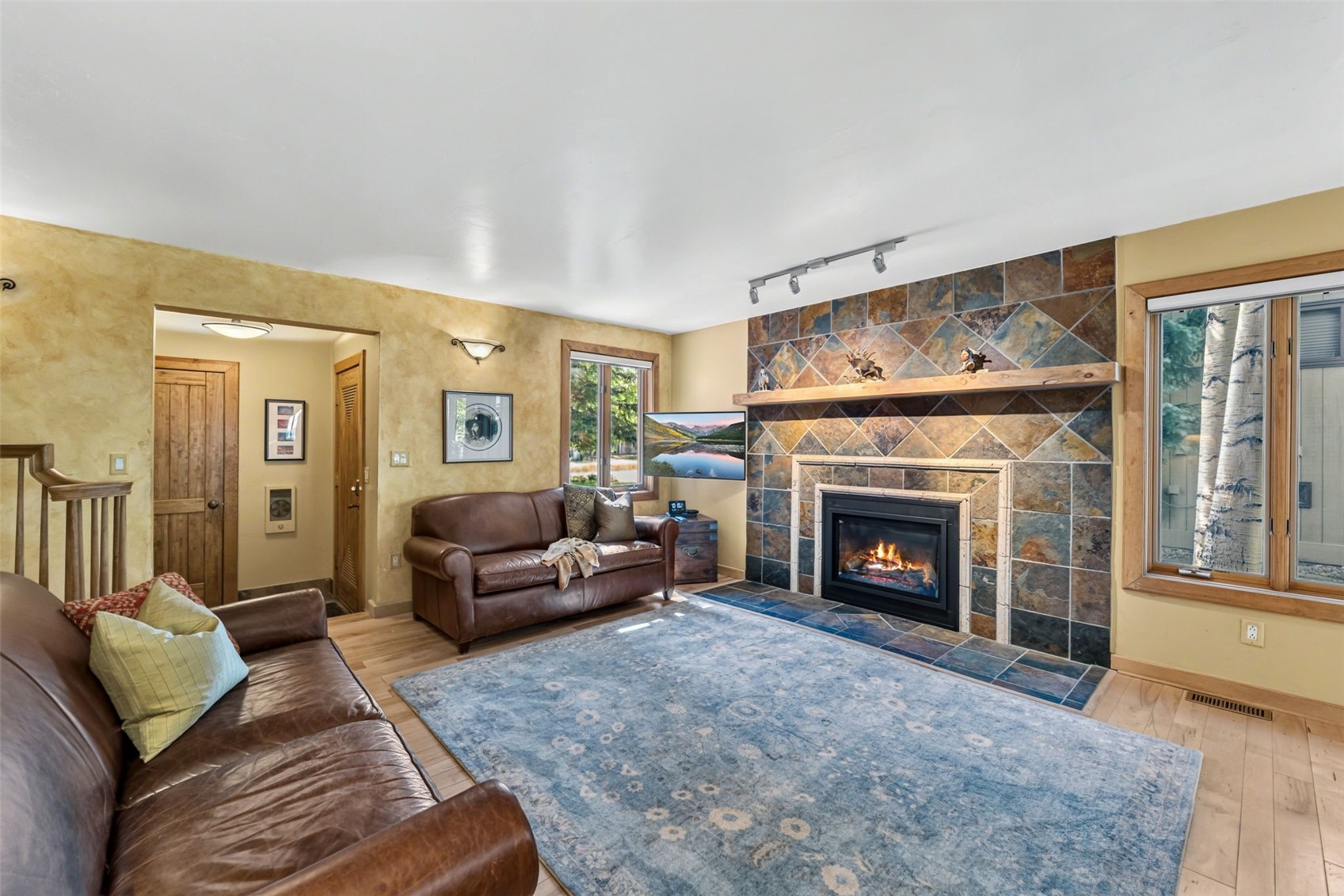 732 Meadow Drive Frisco CO 80443