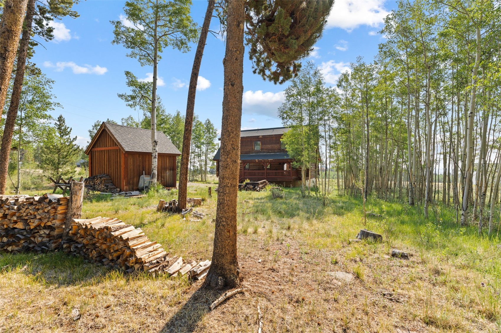 314 Bluestem Way Fairplay CO 80440