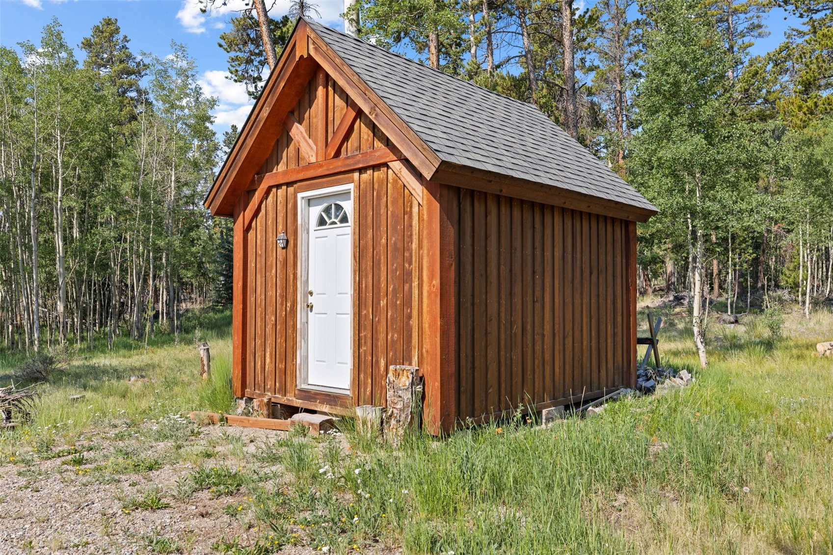 314 Bluestem Way Fairplay CO 80440