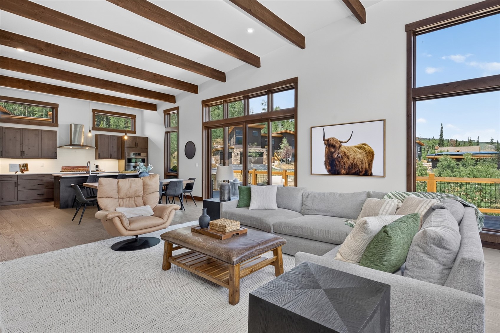 62 Mckay Place Silverthorne CO 80498