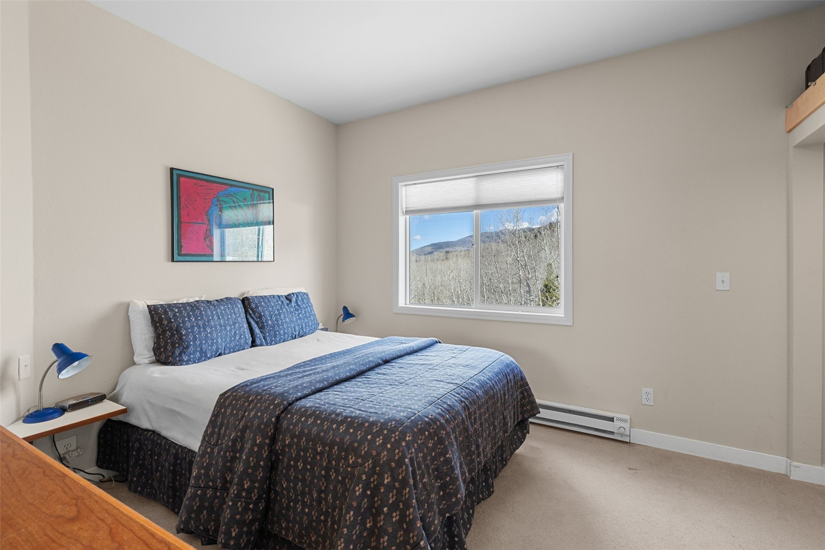 142 P Road Silverthorne CO 80498