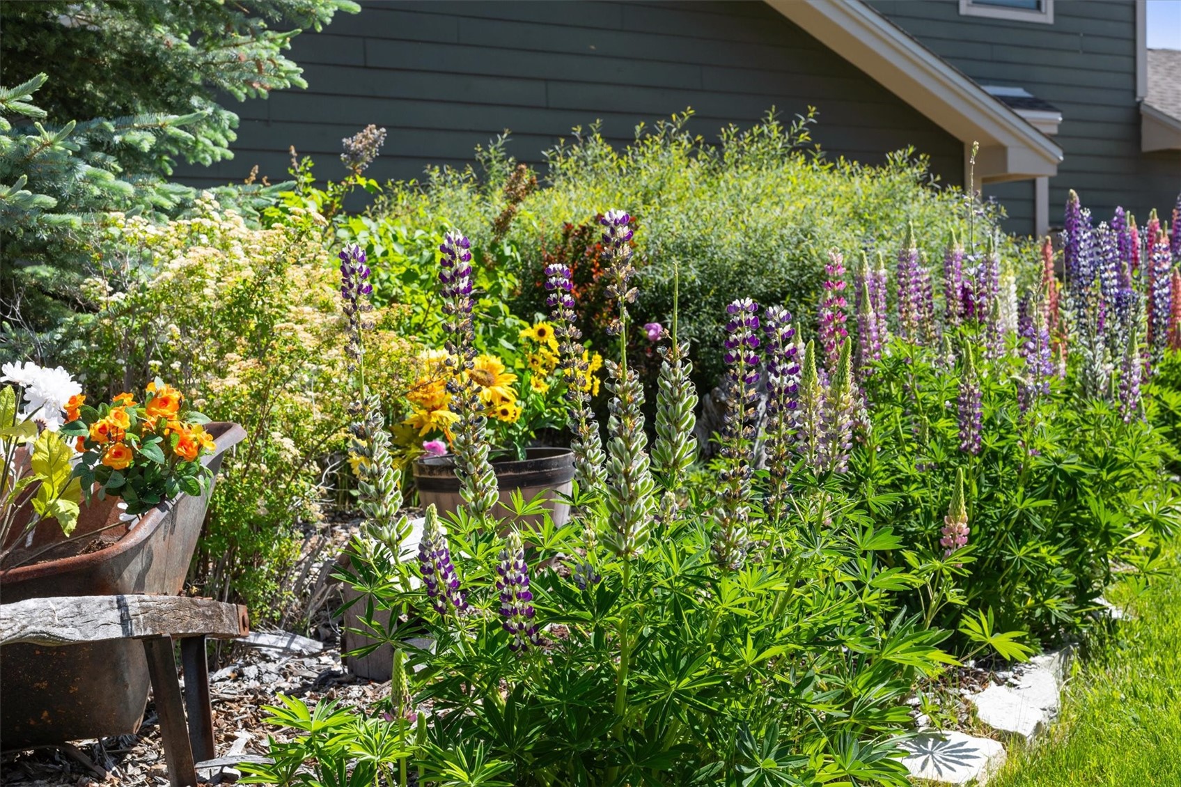 2609 Abbey Road Steamboat Springs CO 80487