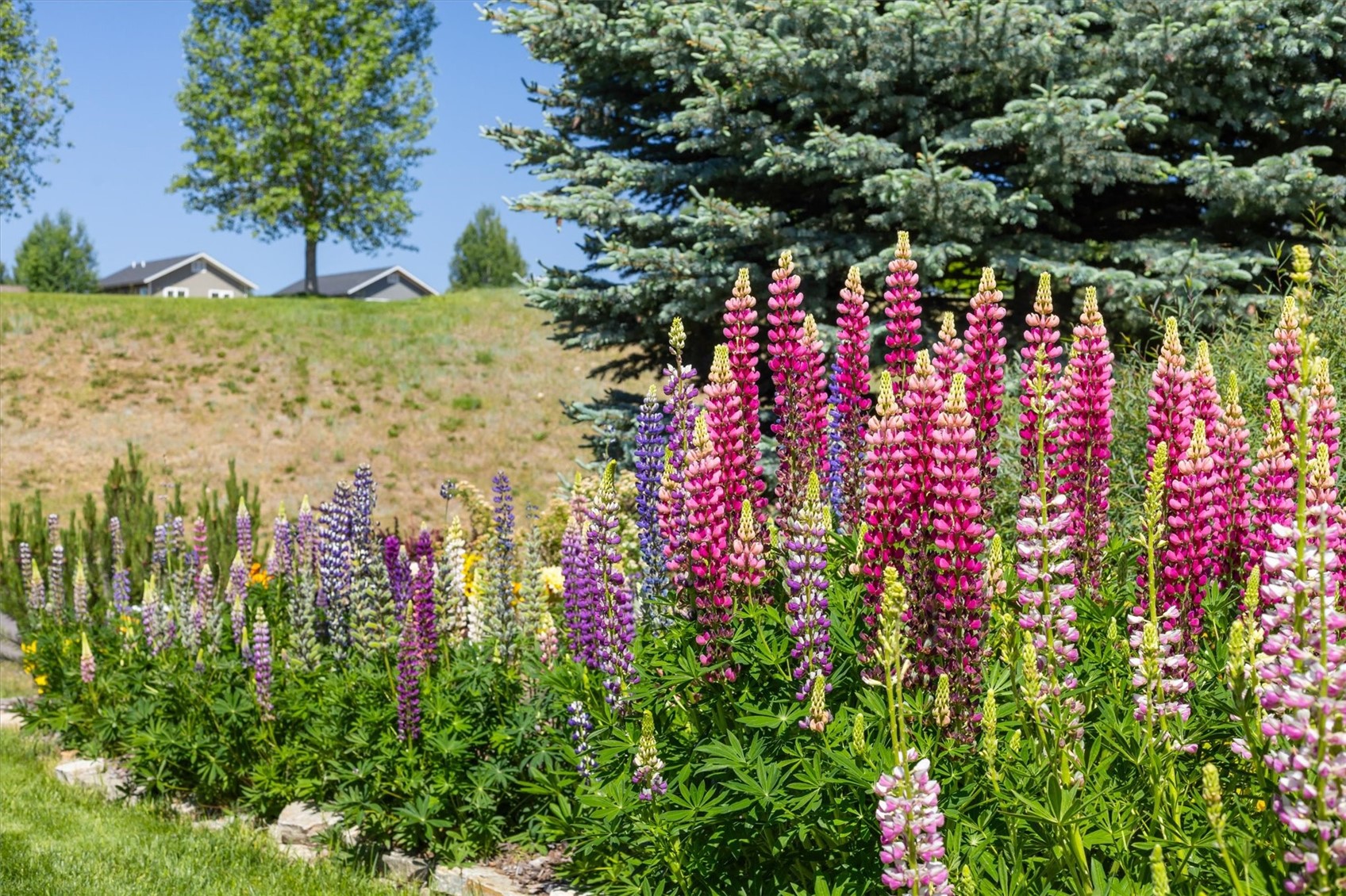 2609 Abbey Road Steamboat Springs CO 80487
