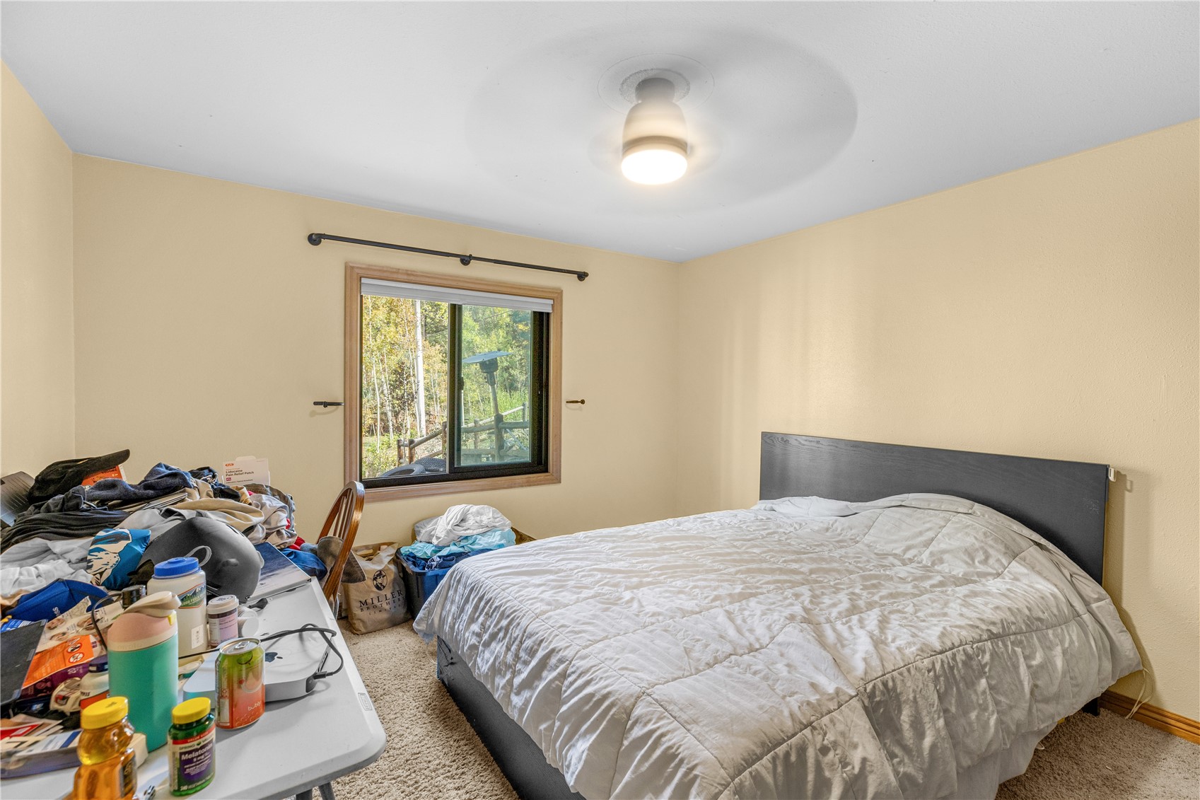 208 Deer Path Road Dillon CO 80435