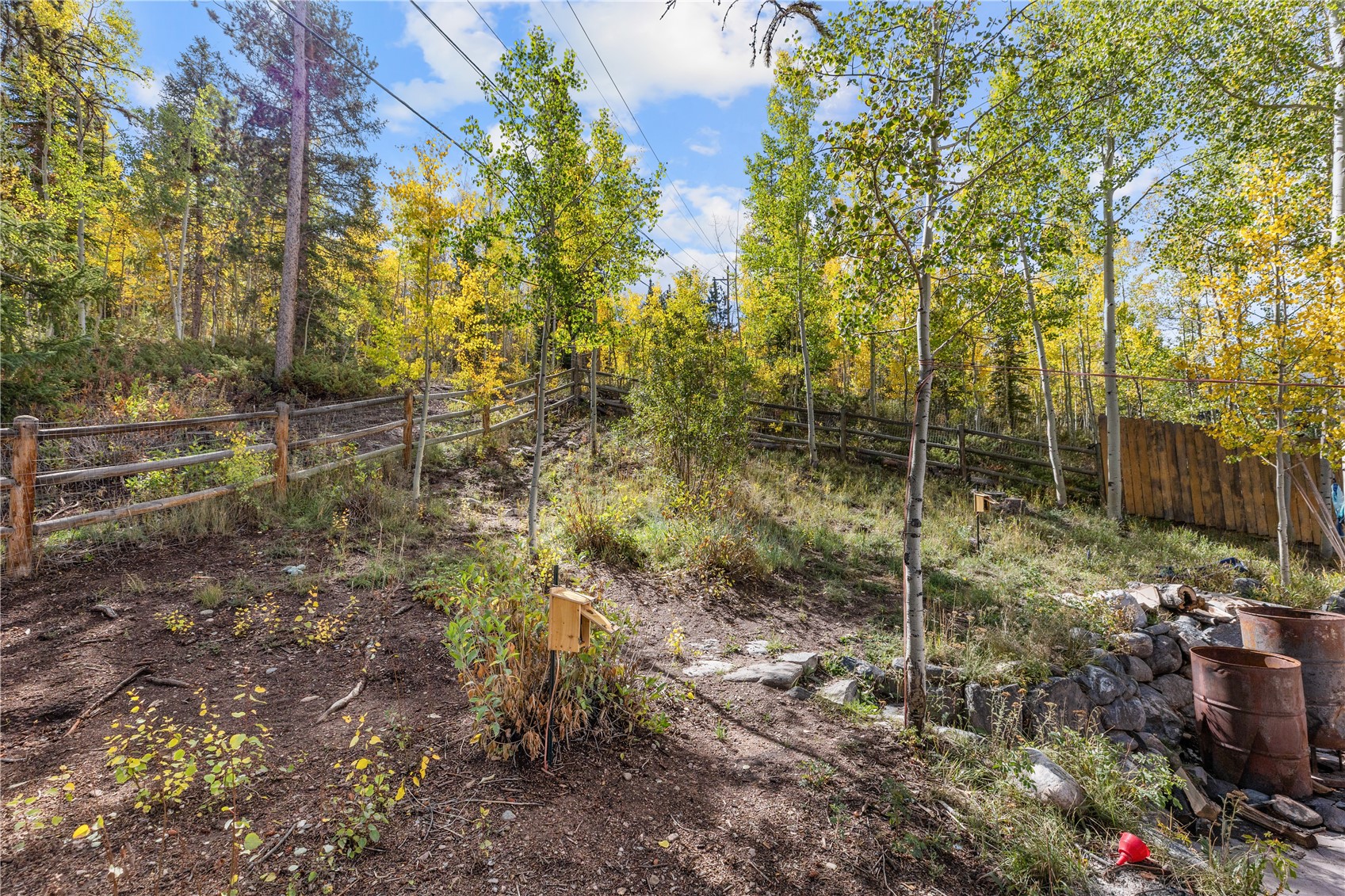 208 Deer Path Road Dillon CO 80435