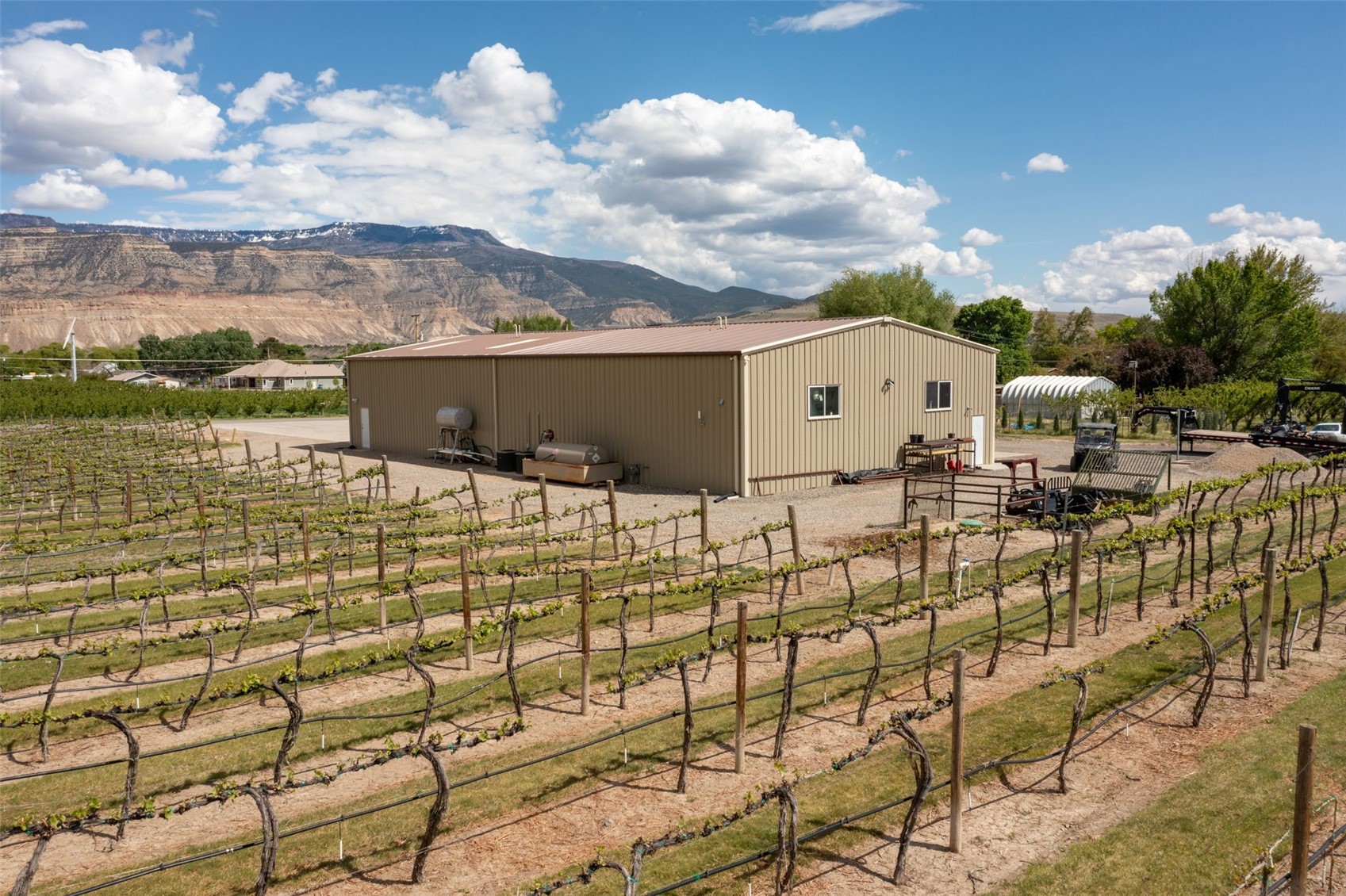 759 36 3/10 Road Palisade CO 81526