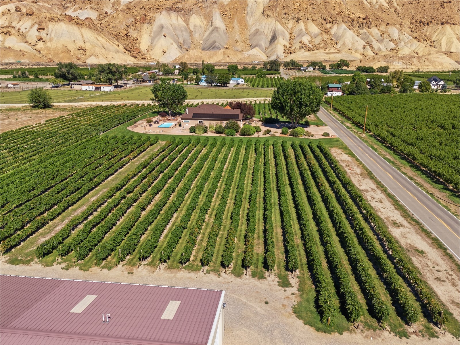 759 36 3/10 Road Palisade CO 81526