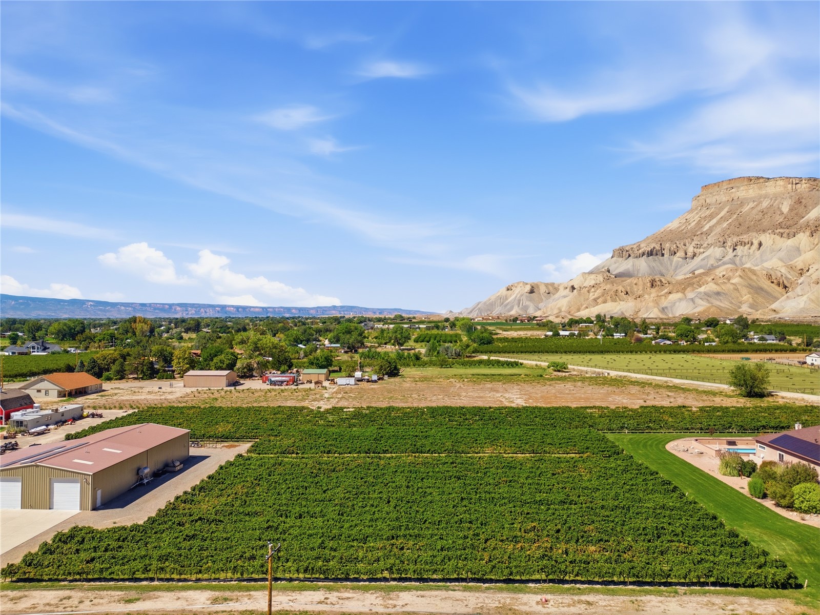 759 36 3/10 Road Palisade CO 81526