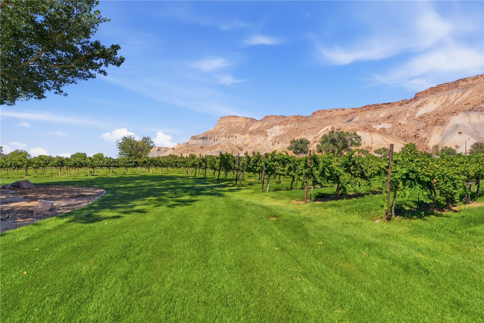 759 36 3/10 Road Palisade CO 81526