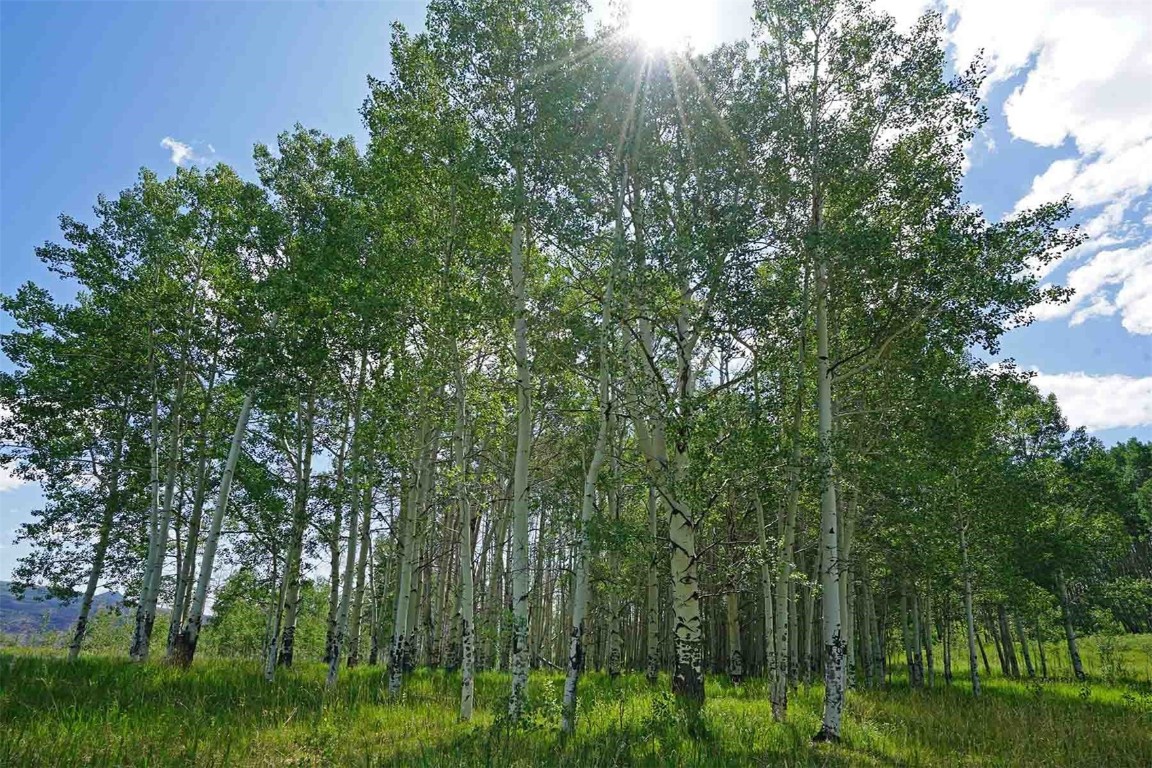 2650 Sweetwater Road Gypsum CO 81637