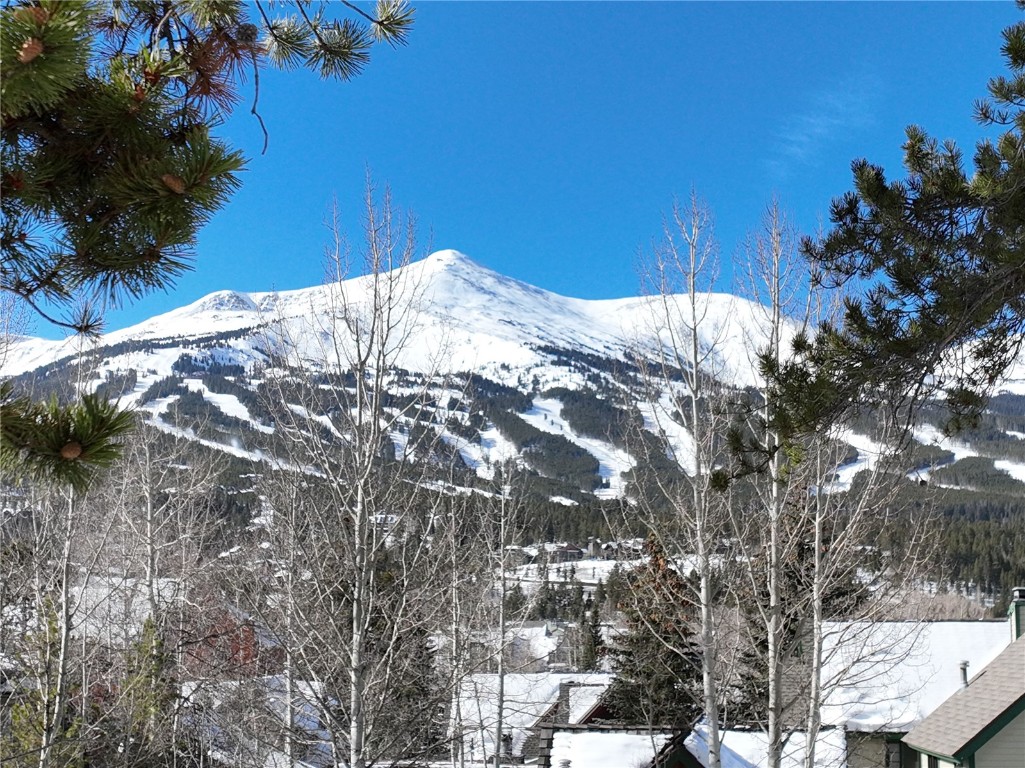 102 S High Street Breckenridge CO 80424