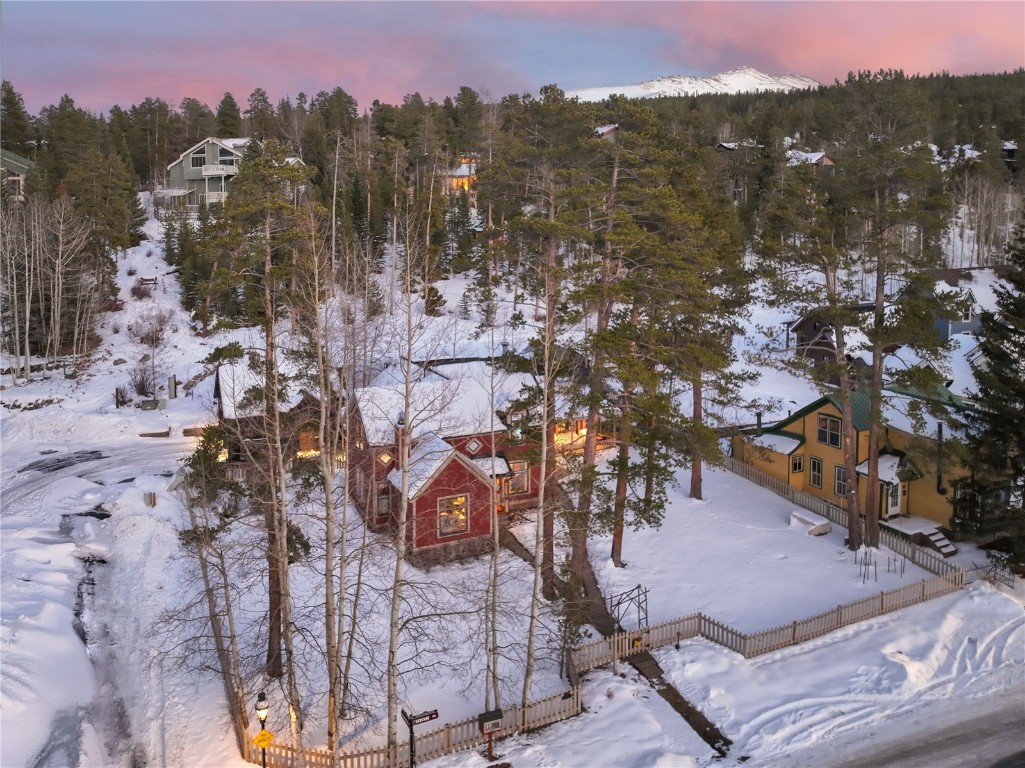 102 S High Street Breckenridge CO 80424