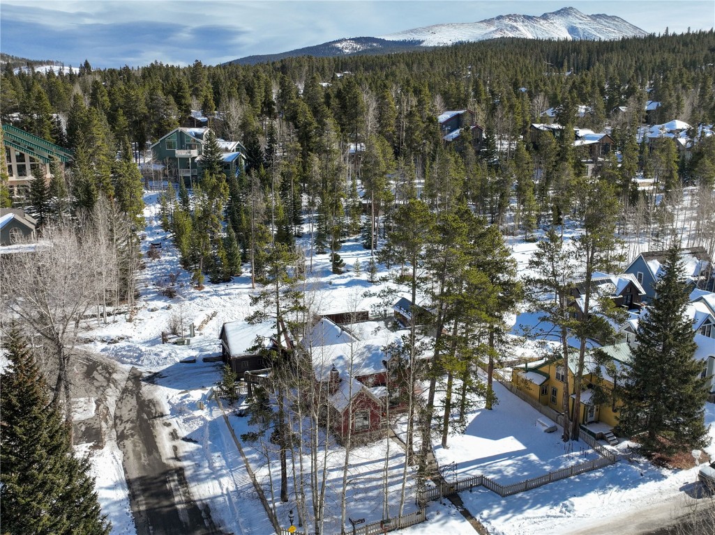 102 S High Street Breckenridge CO 80424