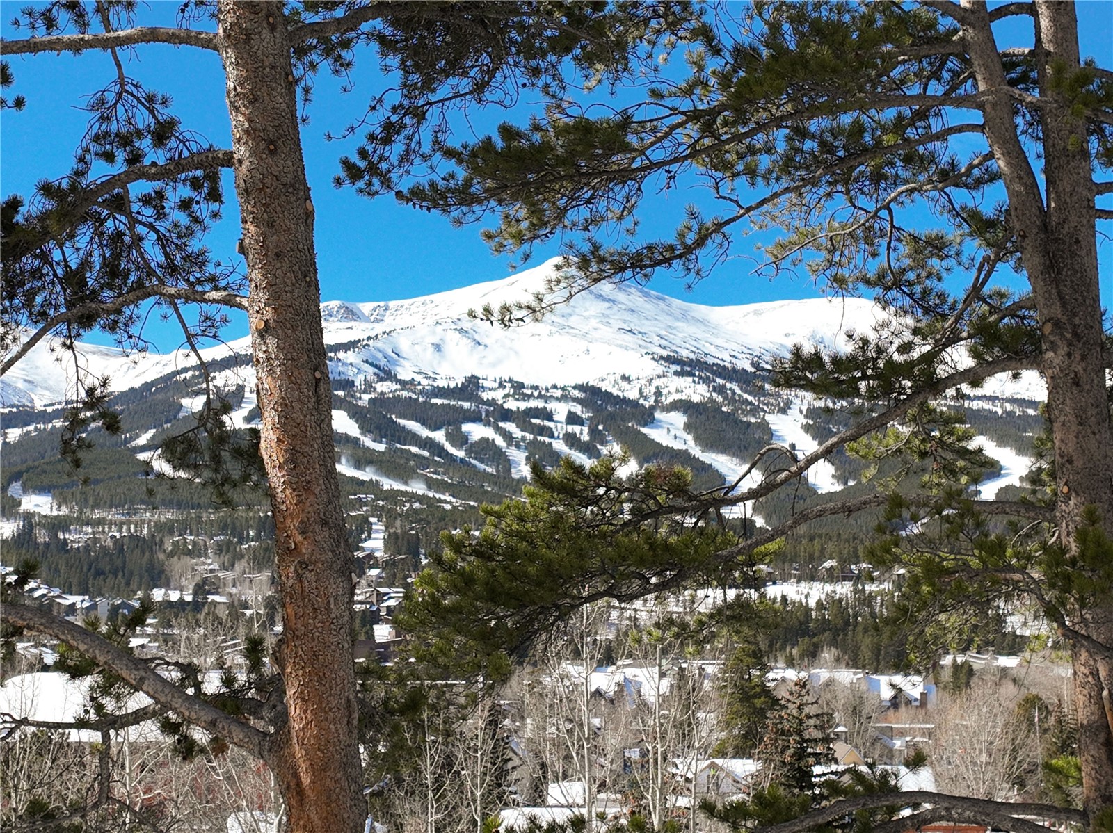 102 S High Street Breckenridge CO 80424