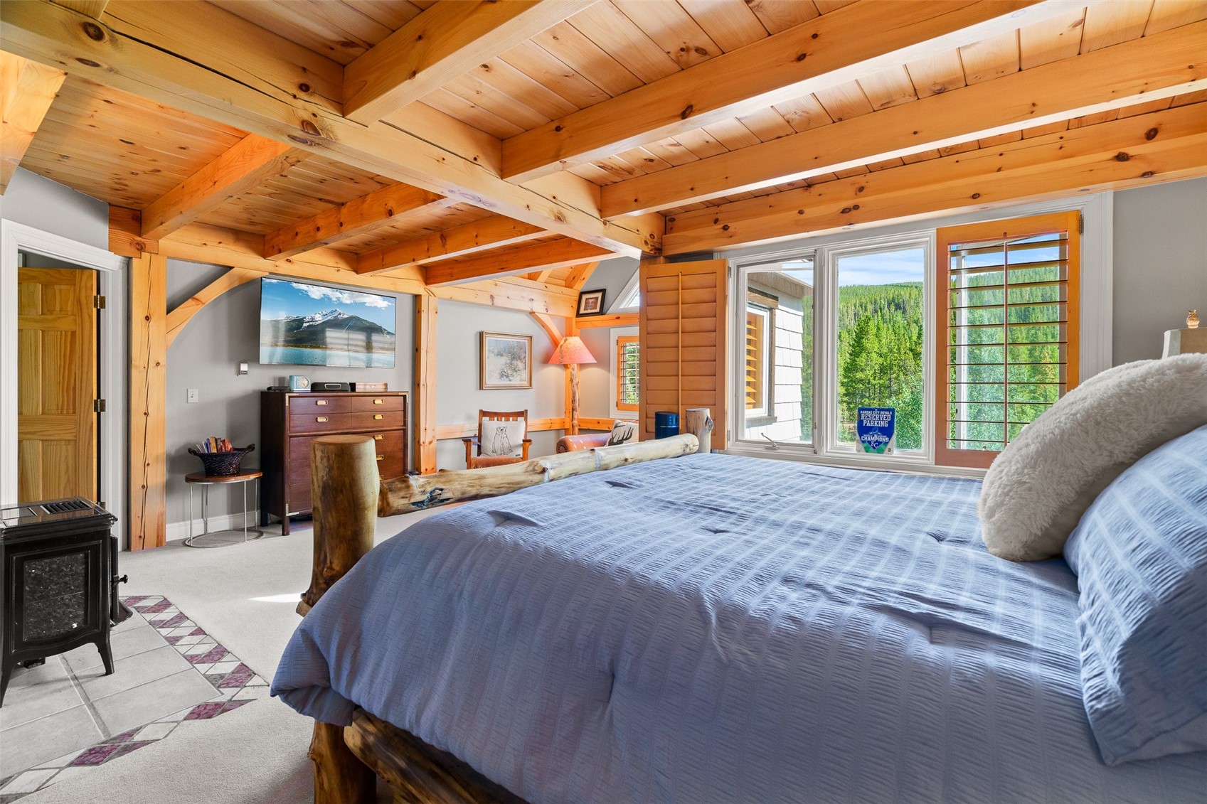 2273 Tiger Road Breckenridge CO 80424
