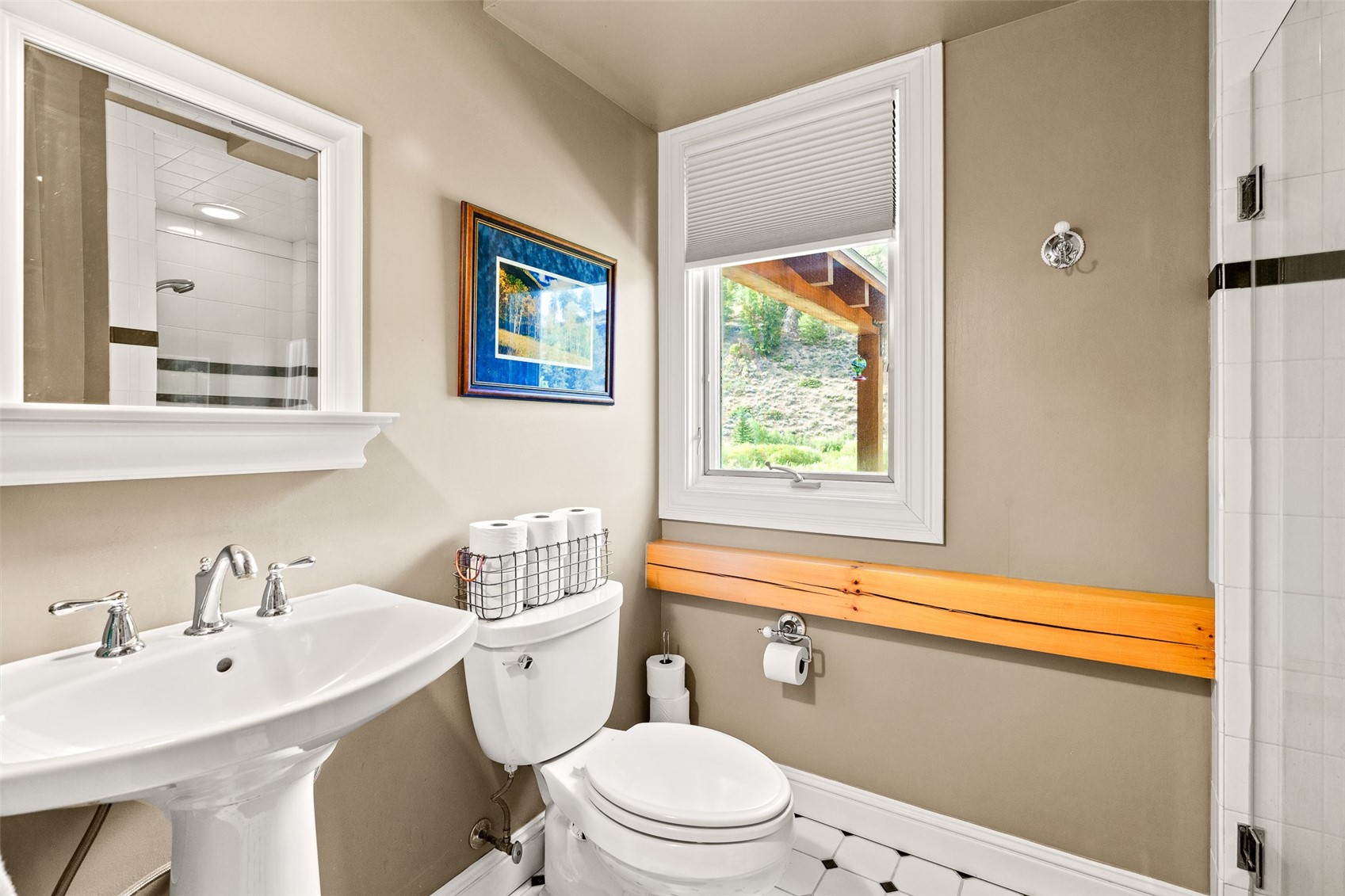 2273 Tiger Road Breckenridge CO 80424