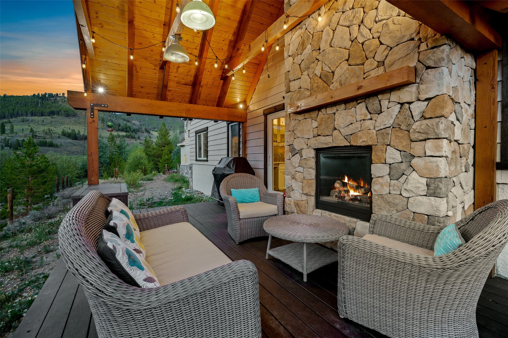 2273 Tiger Road Breckenridge CO 80424