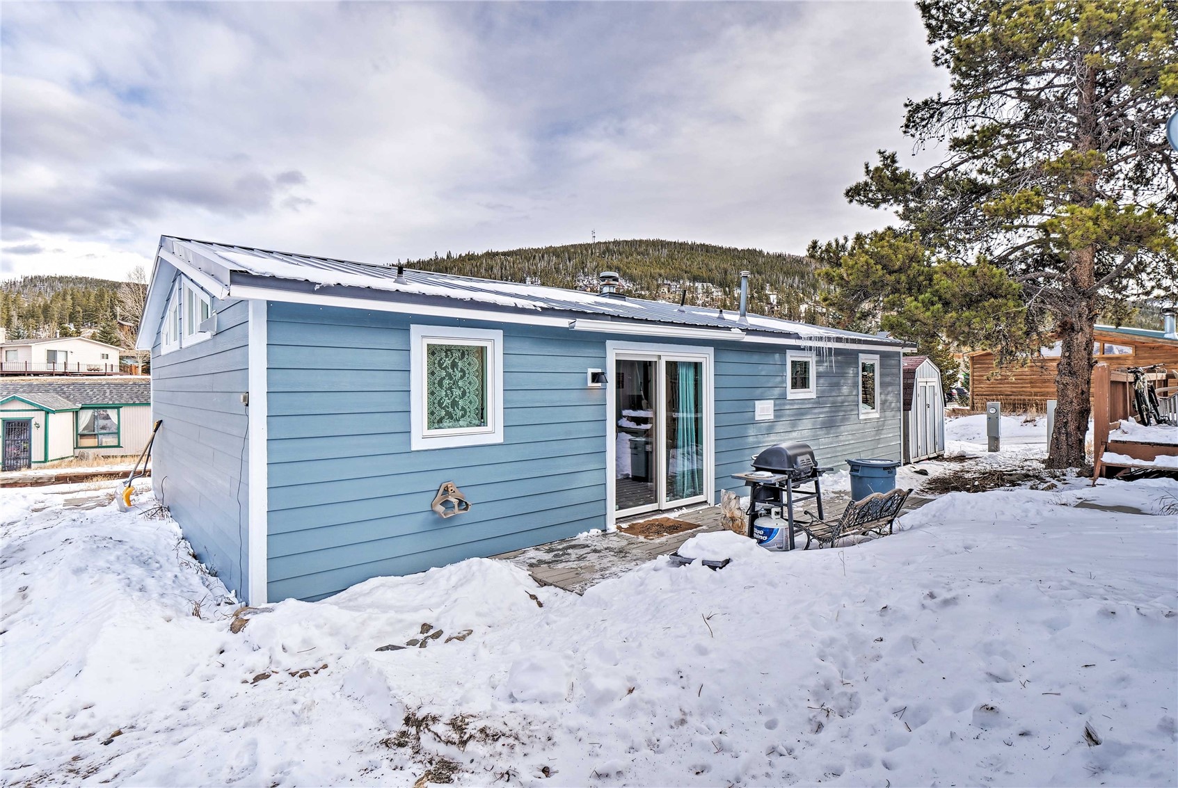 28 Magnum Bonum Drive Breckenridge CO 80424