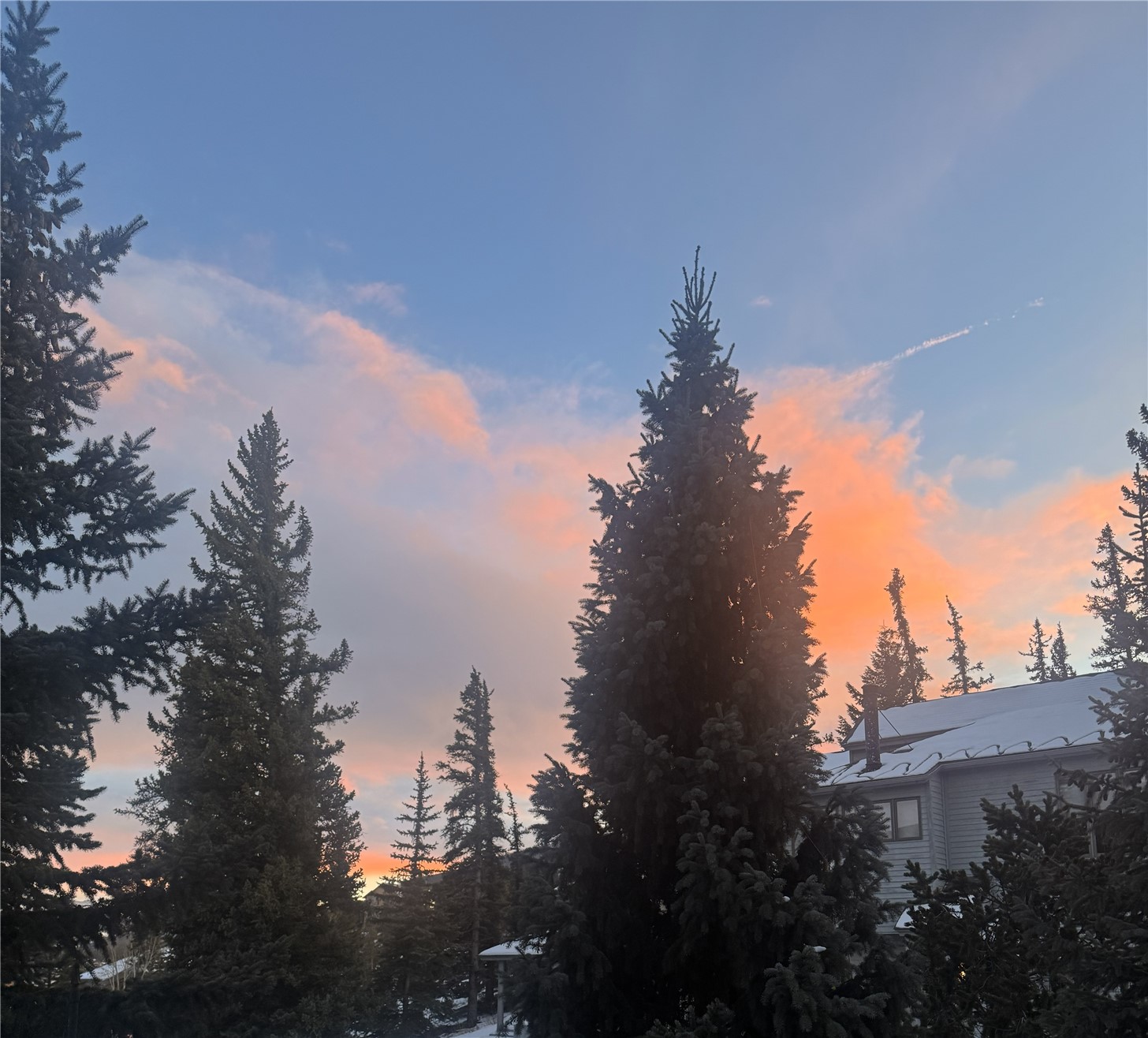 109 Janes Way Silverthorne CO 80498