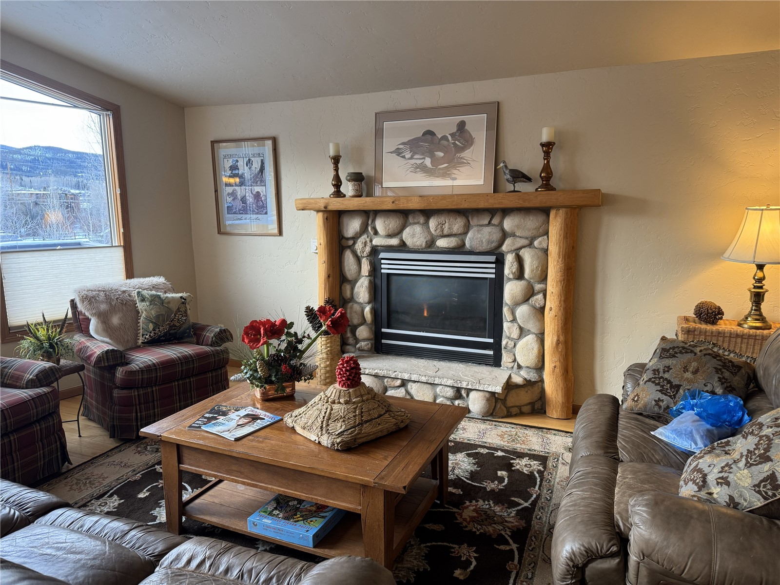 109 Janes Way Silverthorne CO 80498