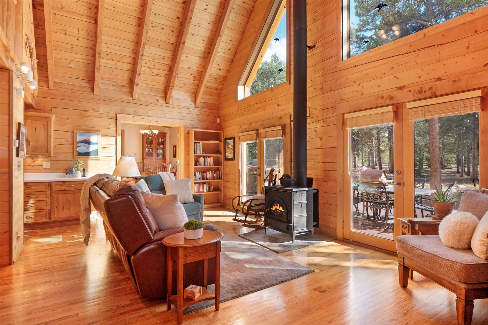 115 Lupine Lane Leadville CO 80461