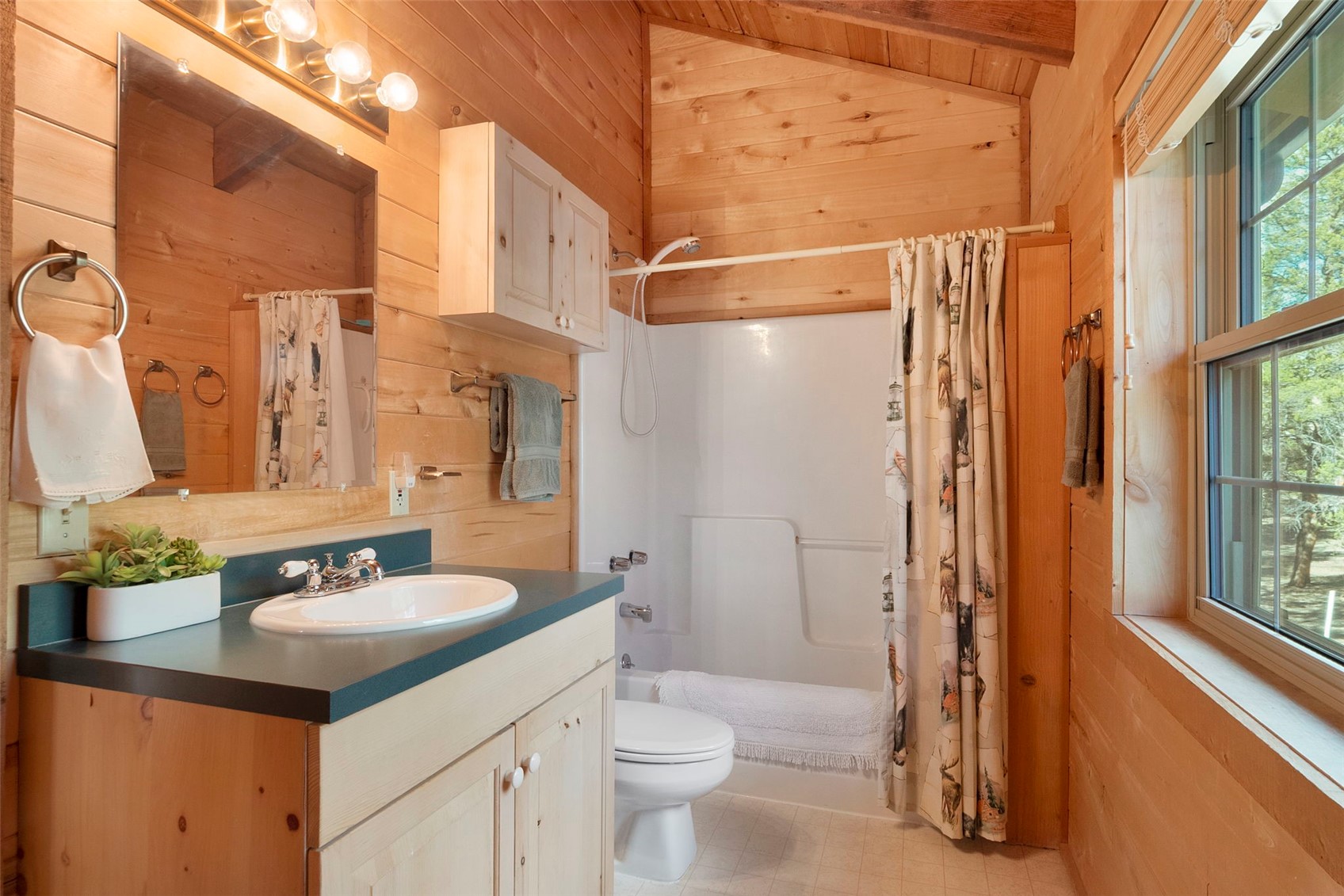 115 Lupine Lane Leadville CO 80461