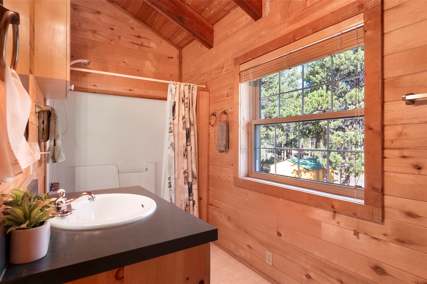 115 Lupine Lane Leadville CO 80461